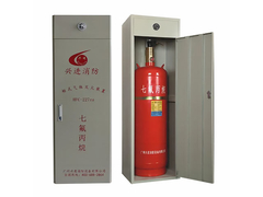 Wysoce wydajny system szaf FM200 do ochrony czułych urządzeń elektronicznych